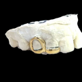 Dub Grillz With Tip
